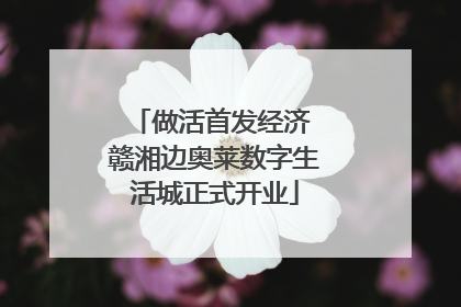 做活首发经济 赣湘边奥莱数字生活城正式开业