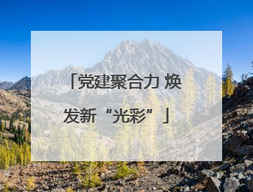 党建聚合力 焕发新“光彩”