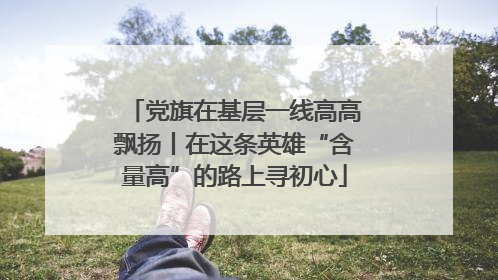 党旗在基层一线高高飘扬丨在这条英雄“含量高”的路上寻初心