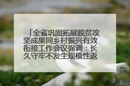 全省巩固拓展脱贫攻坚成果同乡村振兴有效衔接工作会议强调：长久守牢不发生规模性返贫致贫底线 王宁出席并讲话 王予波主持