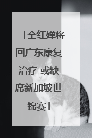 全红婵将回广东康复治疗 或缺席新加坡世锦赛
