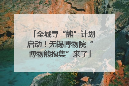 全城寻“熊”计划启动！无锡博物院“博物熊抱集”来了