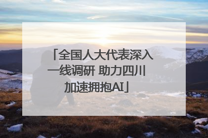 全国人大代表深入一线调研 助力四川加速拥抱AI