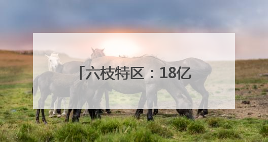 六枝特区：18亿创业担保贷款助企业发展提质加速