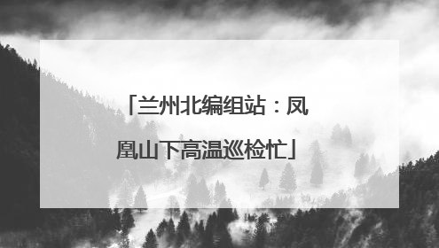 兰州北编组站：凤凰山下高温巡检忙