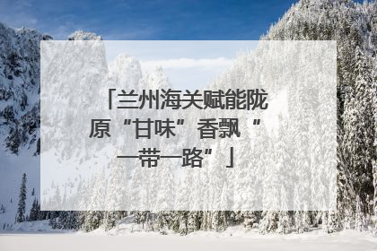 兰州海关赋能陇原“甘味”香飘“一带一路”