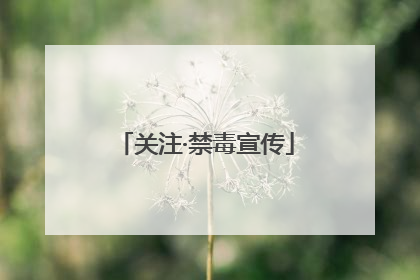 关注·禁毒宣传