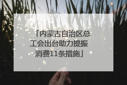 内蒙古自治区总工会出台助力提振消费11条措施