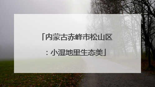 内蒙古赤峰市松山区：小湿地里生态美