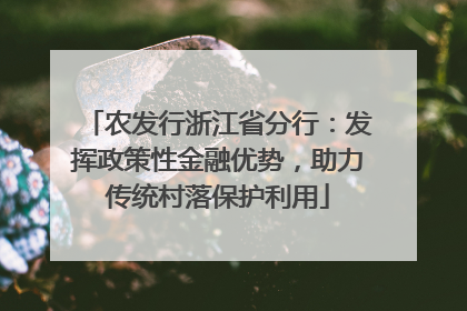 农发行浙江省分行：发挥政策性金融优势，助力传统村落保护利用