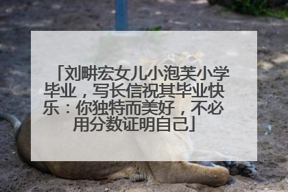 刘畊宏女儿小泡芙小学毕业，写长信祝其毕业快乐：你独特而美好，不必用分数证明自己