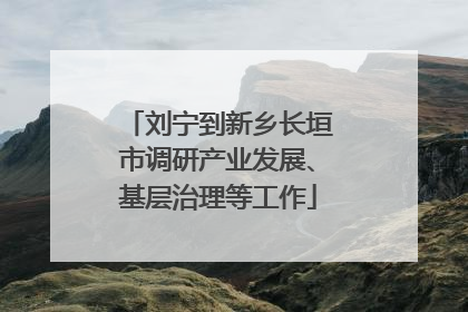 刘宁到新乡长垣市调研产业发展、基层治理等工作
