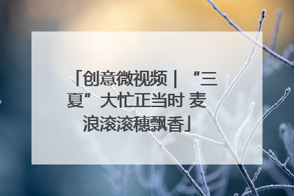 创意微视频｜“三夏”大忙正当时 麦浪滚滚穗飘香