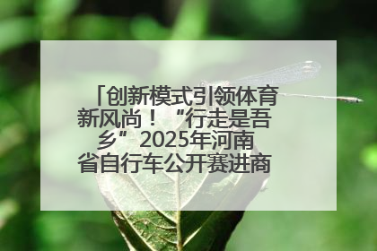 创新模式引领体育新风尚！“行走是吾乡”2025年河南省自行车公开赛进商圈系列赛落幕