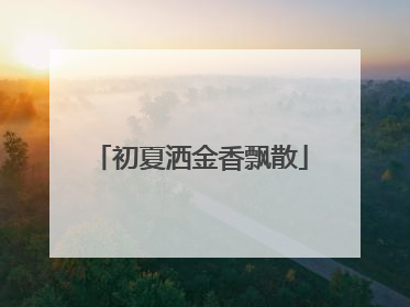 初夏洒金香飘散