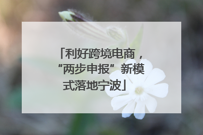 利好跨境电商，“两步申报”新模式落地宁波