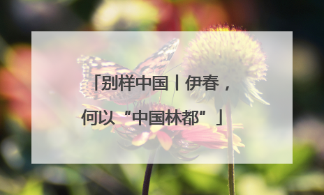 别样中国丨伊春，何以“中国林都”