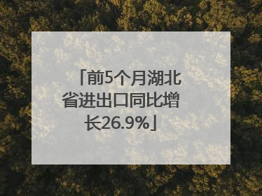 前5个月湖北省进出口同比增长26.9%