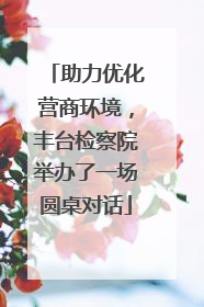 助力优化营商环境，丰台检察院举办了一场圆桌对话
