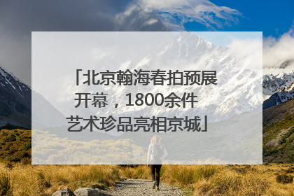 北京翰海春拍预展开幕，1800余件艺术珍品亮相京城