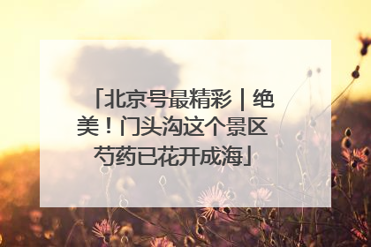 北京号最精彩｜绝美！门头沟这个景区芍药已花开成海