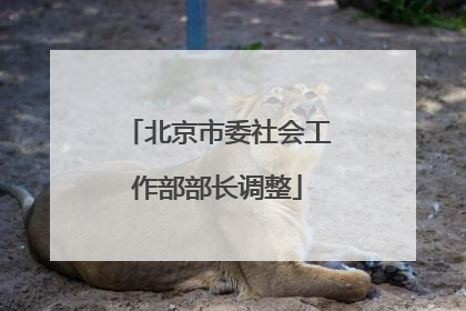 北京市委社会工作部部长调整
