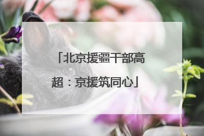 北京援疆干部高超：京援筑同心