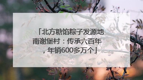 北方糖馅粽子发源地南谢堡村：传承六百年，年销600多万个
