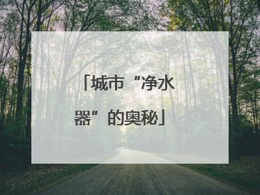 城市“净水器”的奥秘