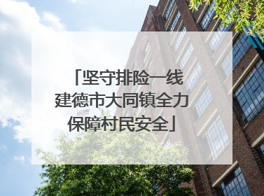 坚守排险一线 建德市大同镇全力保障村民安全