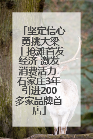 坚定信心 勇挑大梁丨抢滩首发经济 激发消费活力 石家庄3年引进200多家品牌首店