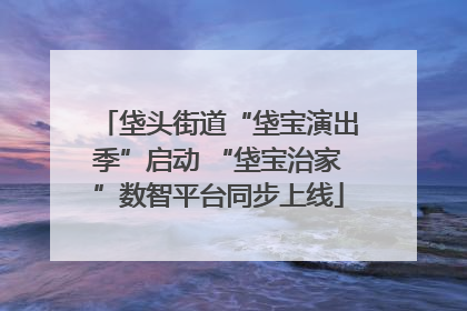 垡头街道“垡宝演出季”启动 “垡宝治家”数智平台同步上线