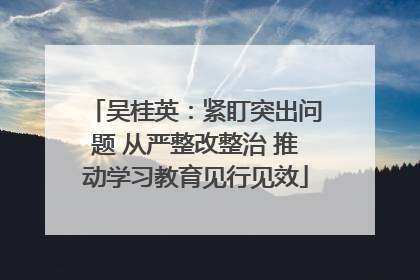吴桂英：紧盯突出问题 从严整改整治 推动学习教育见行见效