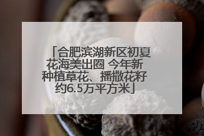 合肥滨湖新区初夏花海美出圈 今年新种植草花、播撒花籽约6.5万平方米