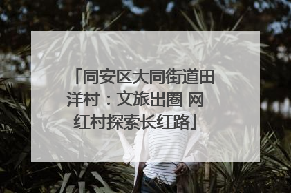 同安区大同街道田洋村：文旅出圈 网红村探索长红路