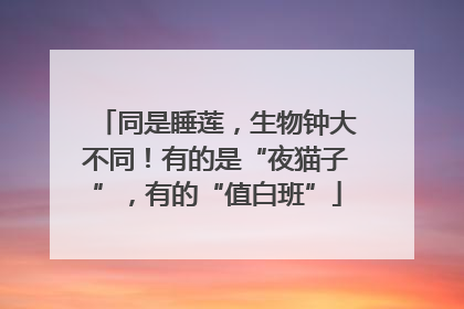 同是睡莲，生物钟大不同！有的是“夜猫子”，有的“值白班”