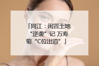同江：闲置土地“逆袭”记 万寿菊“C位出道”