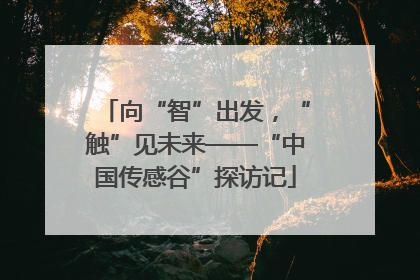 向“智”出发，“触”见未来——“中国传感谷”探访记