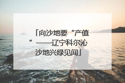 向沙地要“产值”——辽宁科尔沁沙地兴绿见闻