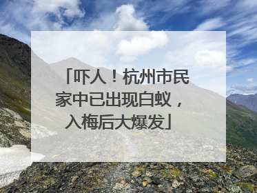 吓人！杭州市民家中已出现白蚁，入梅后大爆发