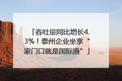 吞吐量同比增长4.3%！泰州企业坐享“家门口就是国际港”