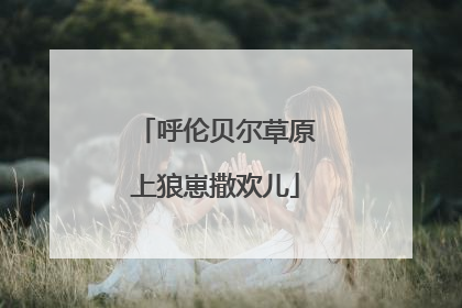 呼伦贝尔草原上狼崽撒欢儿