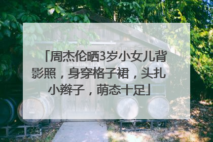 周杰伦晒3岁小女儿背影照，身穿格子裙，头扎小辫子，萌态十足