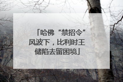哈佛“禁招令”风波下，比利时王储陷去留困境