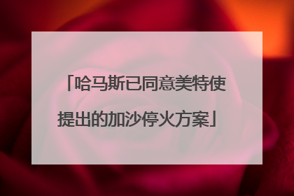 哈马斯已同意美特使提出的加沙停火方案