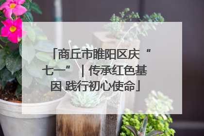 商丘市睢阳区庆“七一”｜传承红色基因 践行初心使命