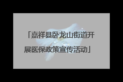 嘉祥县卧龙山街道开展医保政策宣传活动