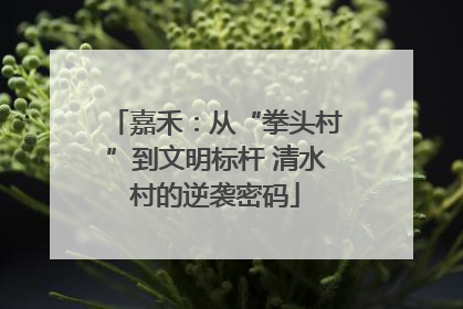 嘉禾：从“拳头村”到文明标杆 清水村的逆袭密码