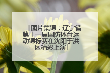 图片集锦：辽宁省第十一届国防体育运动锦标赛在沈阳于洪区精彩上演