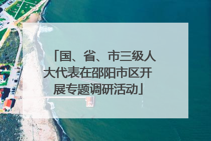 国、省、市三级人大代表在邵阳市区开展专题调研活动